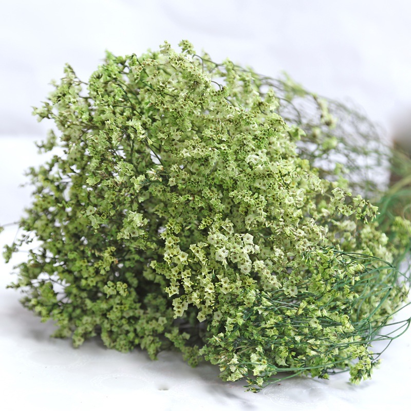 Dried Flower Bulk - Natural Fresh Dried Preserved Flowers Crystal