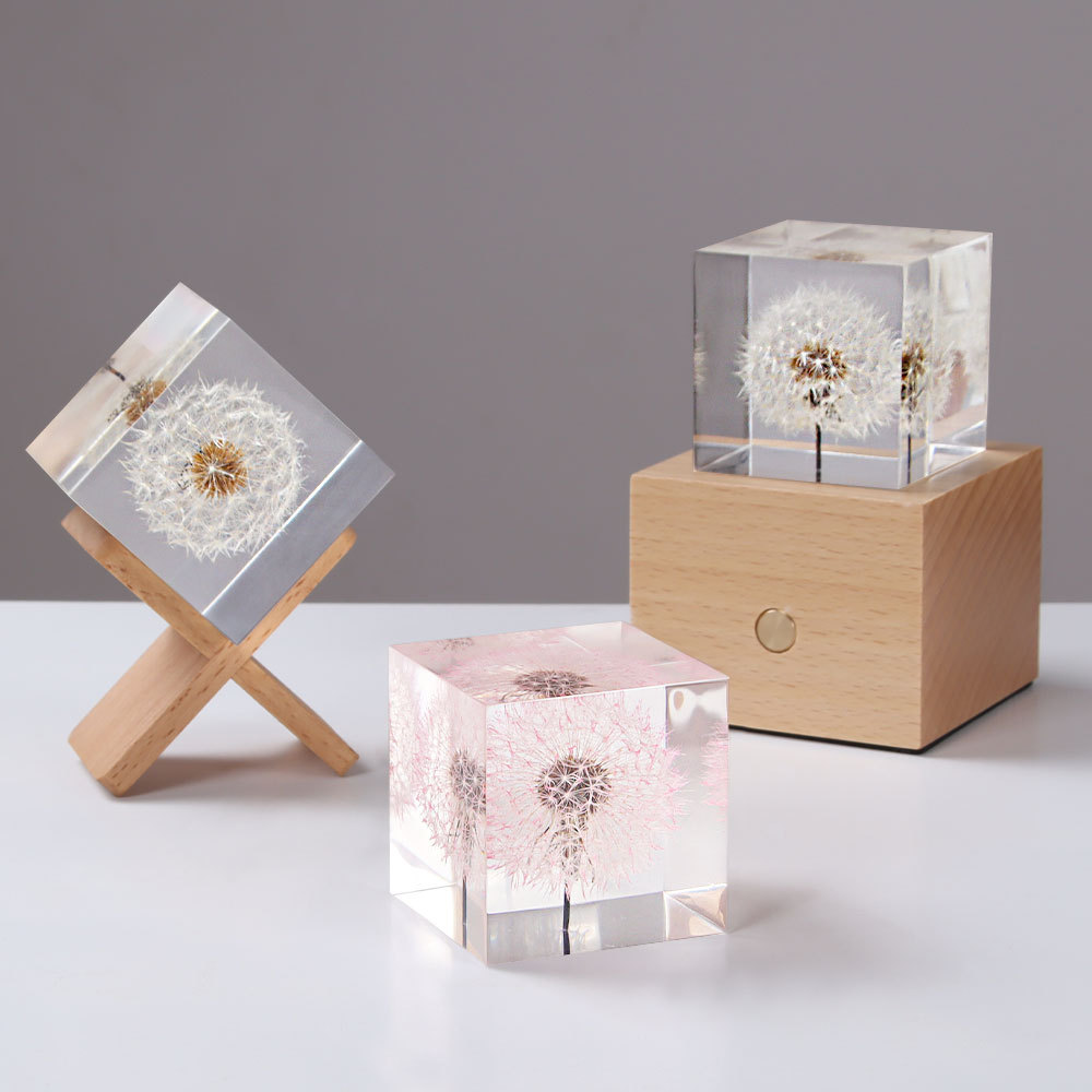 Dandelion preserved fresh flow - Flower Preservation Resin recension och pris