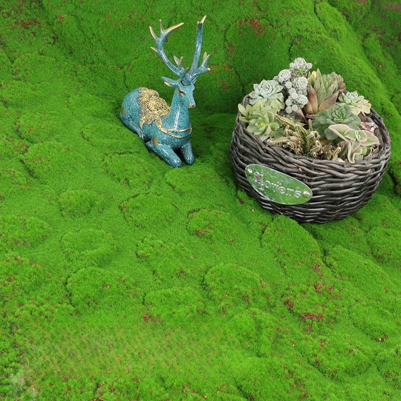 Artificial Turf Moss Simulatio - Terrarium Moss Art recension och pris