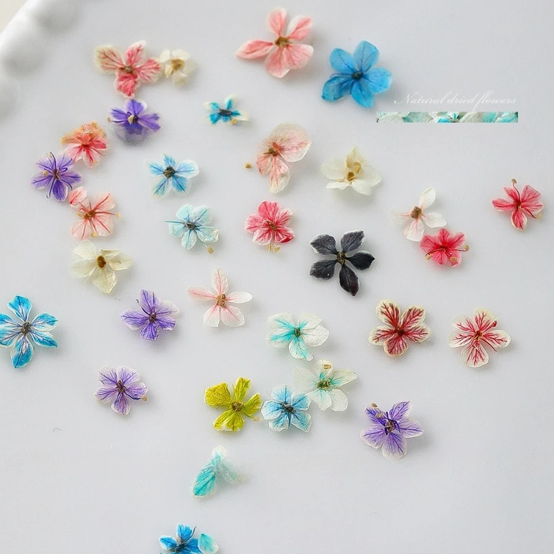 1PCS Summer Gradient Floral Na - Dried Flower Bulk recension och pris