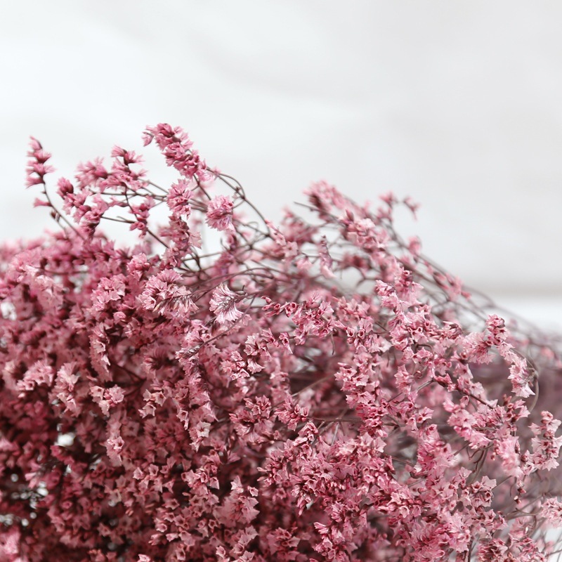 Natural Fresh Dried Preserved  - Dried Flower Bulk recension och pris