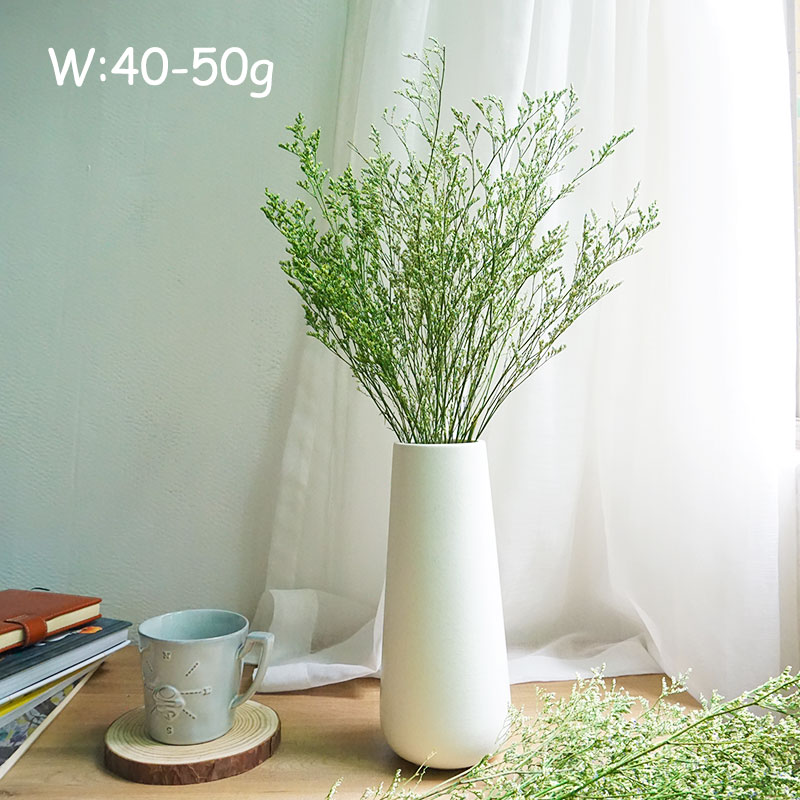 50g/Preserved Valentine's Gras - Dried Flower Bulk recension och pris