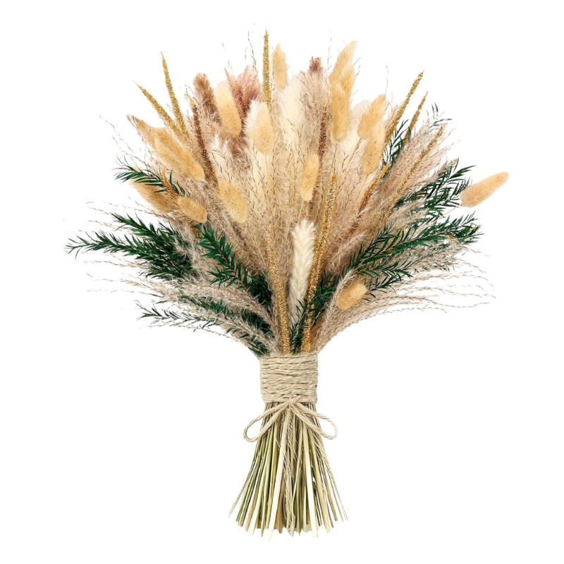 Bulk 100PCS Dried Pampas Grass - Dried Flower Bulk recension och pris