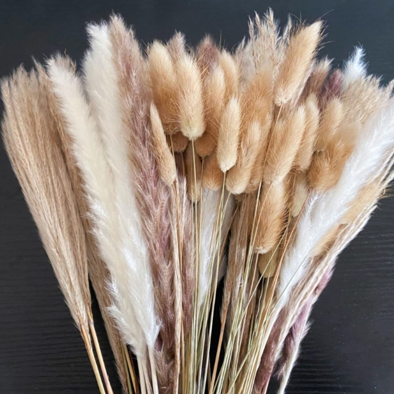 Bulk 100PCS Dried Pampas Grass - Dried Flower Bulk recension och pris