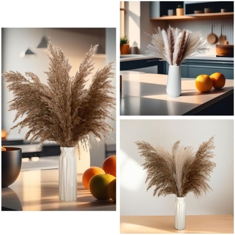Bulk 100PCS Dried Pampas Grass - Dried Flower Bulk recension och pris