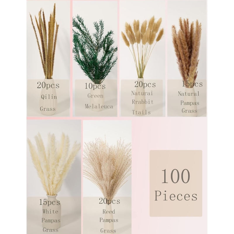 Bulk 100PCS Dried Pampas Grass - Dried Flower Bulk recension och pris