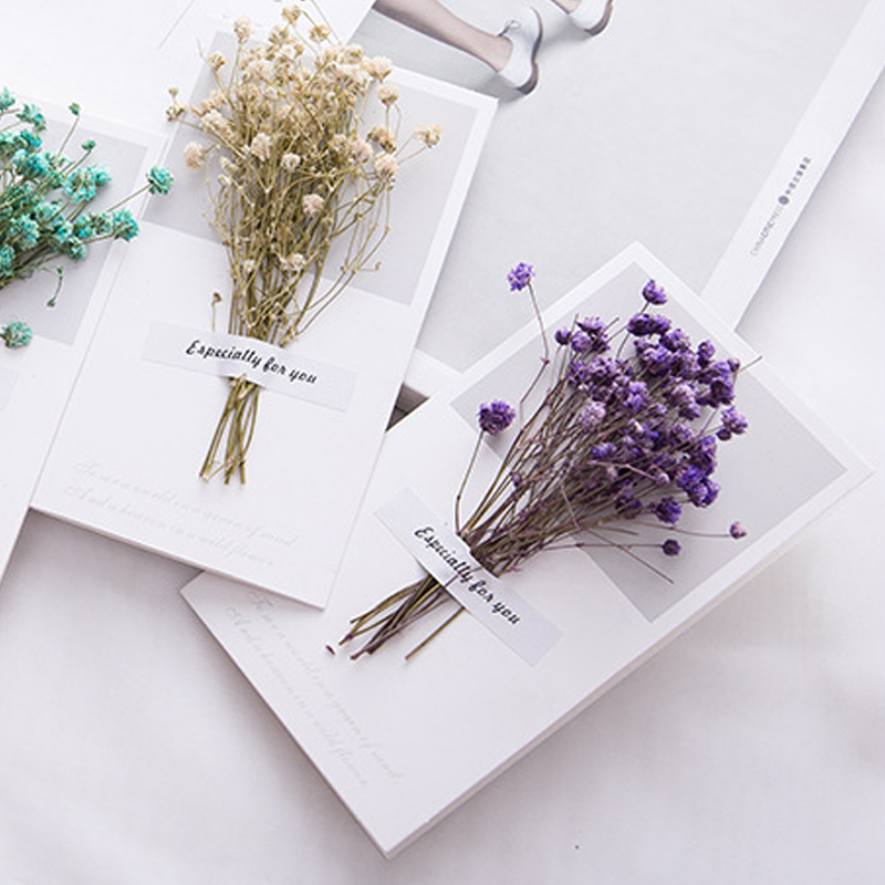 10pcs A Gift Card Wedding Invi - Dried Flower Bulk recension och pris