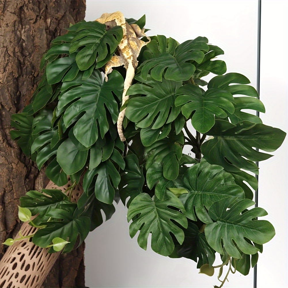 Reptile Plants for Terrarium A - Terrarium Moss Art recension och pris