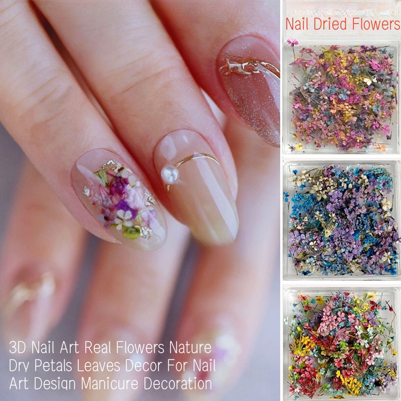 Mixed Small Dried Flowers Nail - Dried Flower Bulk recension och pris