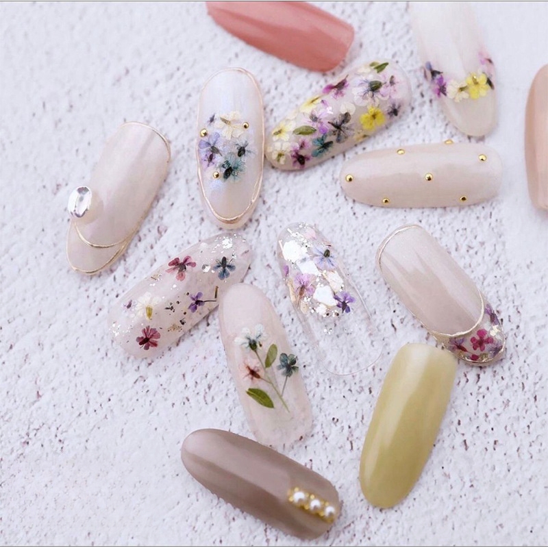 Mixed Small Dried Flowers Nail - Dried Flower Bulk recension och pris