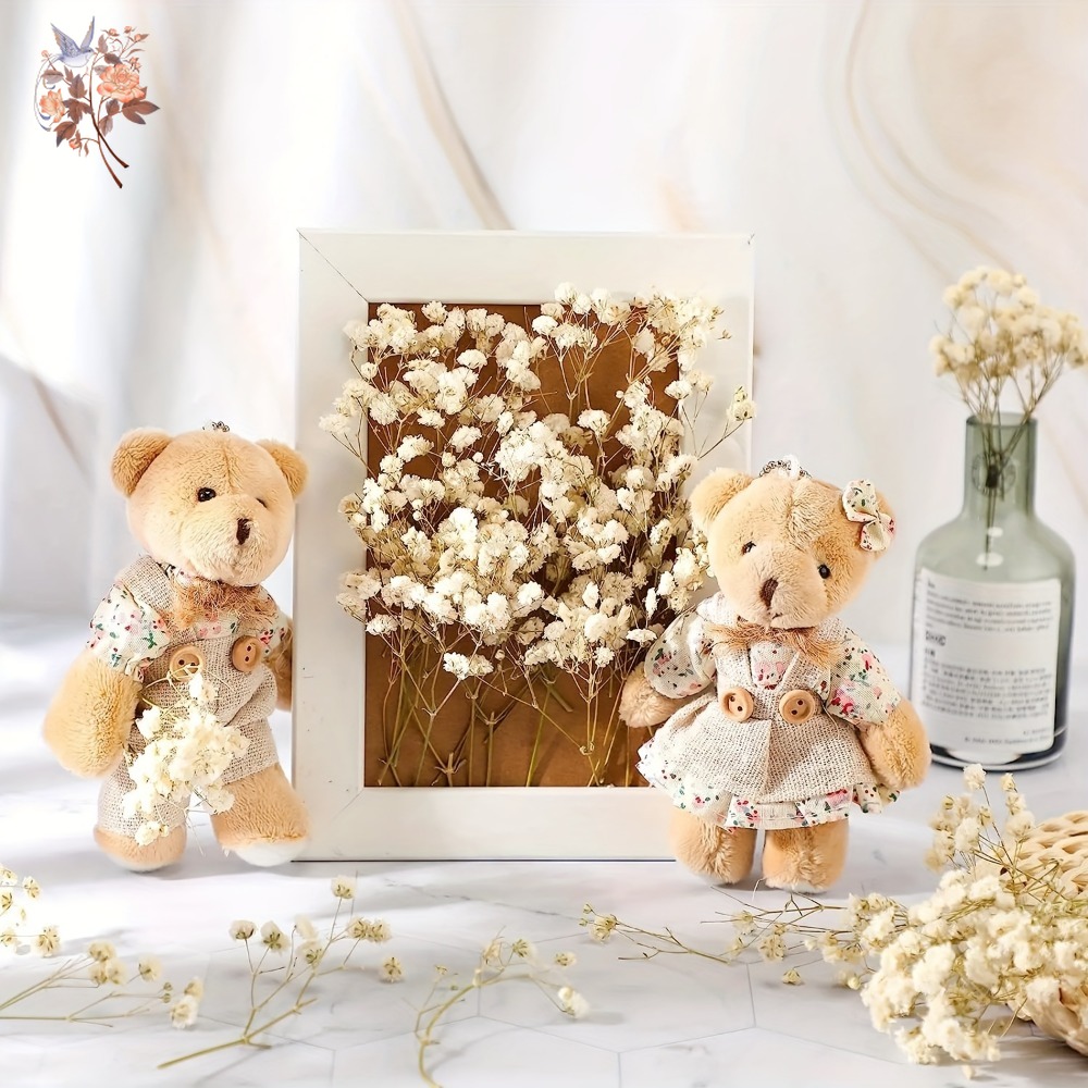 100pcs Mini Dried Baby's Breat - Dried Flower Bulk recension och pris