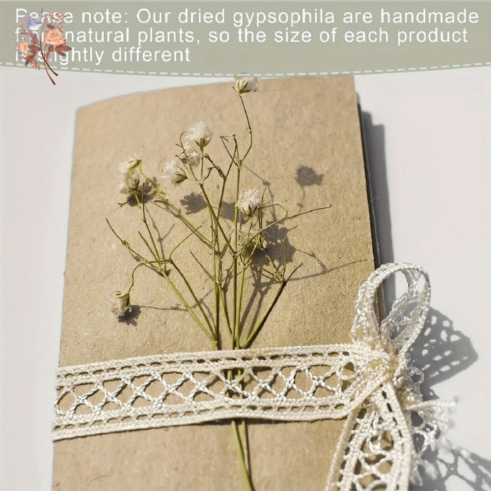 100pcs Mini Dried Baby's Breat - Dried Flower Bulk recension och pris